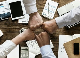 Different Business Career Paths to Take